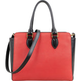 Prada Bicolor Saffiano & Soft Leather Handbag