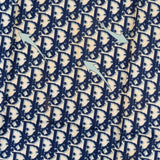 Christian Dior Monogram Oblique Scarf Tuch