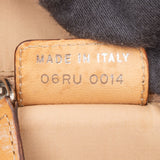 Christian Dior Mini Trotter Monogram Handbag