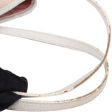 Christian Dior Mini Trotter Monogram Handbag