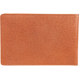 Louis Vuitton Taiga Leather Etui