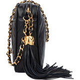 Chanel Quilted Chevron Lambskin Camera Crossbody Bag