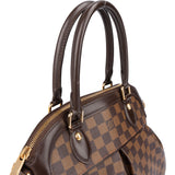 Louis Vuitton Damier Ebene Monogram Trevi PM Handbag
