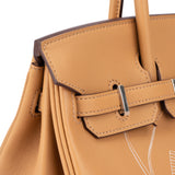 Hermès Biscuit Swift Leather Limited In And Out Birkin 25 Handbag