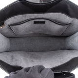 Louis Vuitton Noir Epi Leather Ombre Handbag