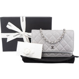 Chanel Quilted Lambskin Palladium Wallet On Chain Crossbody Bag