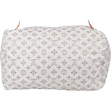 Louis Vuitton Monogram Bag Pillow