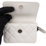 Chanel Quilted Caviar Leather Single Flap Belt Bag