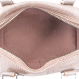 Louis Vuitton Brun Taiga Leather Speedy 25 Handbag