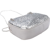 Miu Miu Silver Embellished Glitter Crossbody Bag