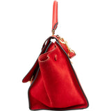 Céline Grained Calfskin Suede Trapeze Handbag