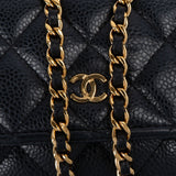 Chanel Quilted Caviar Leather Wallet On Chain Crossbody Bag