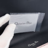 Christian Dior Rose Metallic Diorama Cannage Crossbody Bag