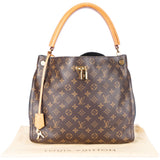 Louis Vuitton Canvas Monogram Gaia