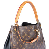 Louis Vuitton Canvas Monogram Gaia