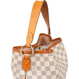 Louis Vuitton Damier Azur Monogram NM Delightful PM Handbag