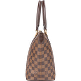 Louis Vuitton Damier Ebene Monogram Saleya PM Handbag