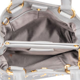 Miu Miu Grey Leather Bicolor Rivets Handbag