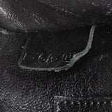 Celine Tricolor Leather Luggage Handbag