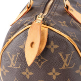 Louis Vuitton Canvas Monogram Speedy 25 Handbag