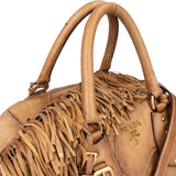 Prada Cervo Patch Leather Rodeo Handbag