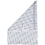 Christian Dior Trotter Monogram Wool Scarf Schal