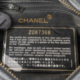 Chanel Quilted Lambskin 24K Gold Camera Crossbody Bag