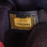 Chanel Quilted Iridescent Calfskin Single Flap Crossbody Bag