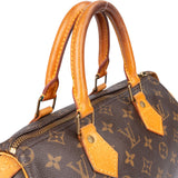 Louis Vuitton Canvas Monogram Speedy 25 Handbag