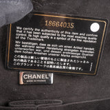 Chanel Limited Python Medium Double Flap Crossbody Bag