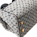 Louis Vuitton Mini Lin Monogram Josephine GM Handbag