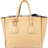 Prada Glace Calf Vitello Handbag