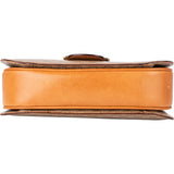 Celine Maccadam Monogram Triomphe Crossbody Bag