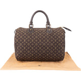 Louis Vuitton Mini Lin Monogram Speedy 30 Handbag