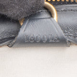 Louis Vuitton Mini Lin Monogram Josephine GM Handbag