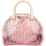 Christian Dior Transparent Trotter Monogram Bowler Handbag