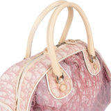Christian Dior Transparent Trotter Monogram Bowler Handbag