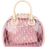 Christian Dior Transparent Trotter Monogram Bowler Handbag
