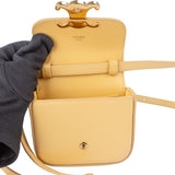 Celine Leather Mini Triomphe Crossbody Bag