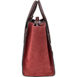 Céline Tricolor Leather Luggage Handbag