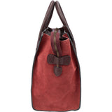 Céline Tricolor Leather Luggage Handbag