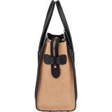 Céline Tricolor Leather Luggage Handbag