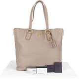 Prada Grey Calfskin Vitello Zippy Handbag