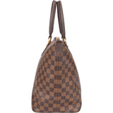 Louis Vuitton Damier Ebene Monogram Saleya MM Handbag