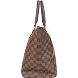 Louis Vuitton Damier Ebene Monogram Saleya MM Handbag