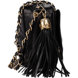 Chanel Quilted Lambskin CC Camera Crossbody Bag