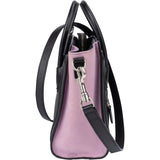 Céline Tricolor Leather Luggage Handbag