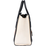 Céline Tricolor Leather Luggage Handbag