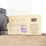 Chloé Braided Leather Hudson Crossbody Bag