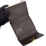Louis Vuitton Taurillon Leather Mini Capucines Wallet